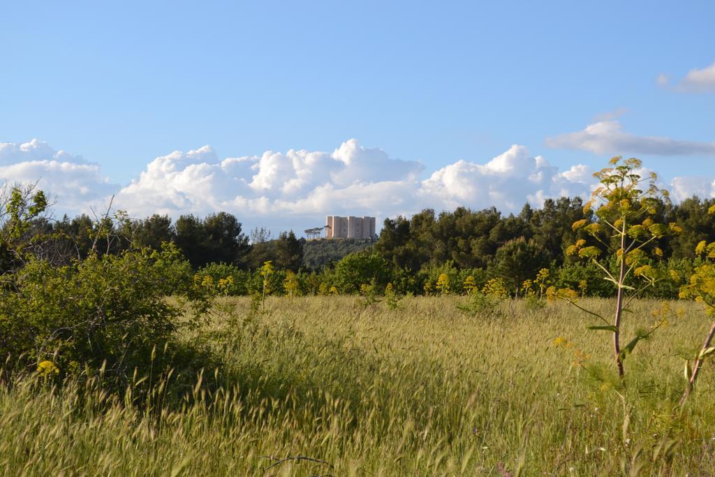 B&B Le Stagioni Castel Del Monte  Zewnętrze zdjęcie