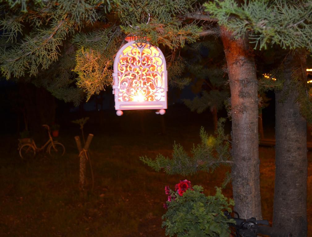 B&B Le Stagioni Castel Del Monte  Zewnętrze zdjęcie