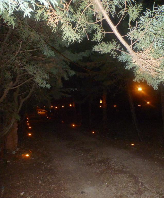 B&B Le Stagioni Castel Del Monte  Zewnętrze zdjęcie